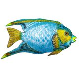 Vintage Tropical Angel Fish Brooch - Enameled Sterling Silver - 2.5in – Vintage item