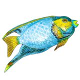 Vintage Tropical Angel Fish Brooch - Enameled Sterling Silver - 2.5in – Vintage item