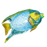 Vintage Blue Enamel Tropical Angel Fish Brooch Silver Plated – Vintage item