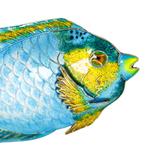 Vintage Blue Enamel Tropical Angel Fish Brooch Silver Plated – Vintage item