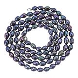 Chapal-Zenray Signed NF Blue Purple Peacock Irradiated Pearl Necklace – Estate Find