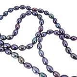 Chapal-Zenray Signed NF Blue Purple Peacock Irradiated Pearl Necklace – Estate Find